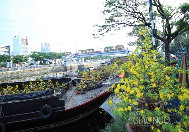 Chùm ảnh: Chợ hoa “Trên bến dưới thuyền” ảnh 15 IMG_4712.jpg