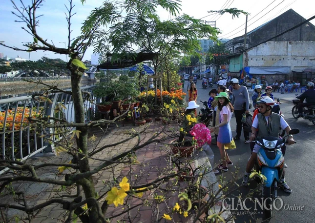 Chùm ảnh: Chợ hoa “Trên bến dưới thuyền” ảnh 17 IMG_4717.jpg