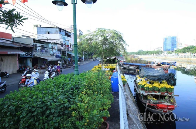 Chùm ảnh: Chợ hoa “Trên bến dưới thuyền” ảnh 18 IMG_4720.jpg
