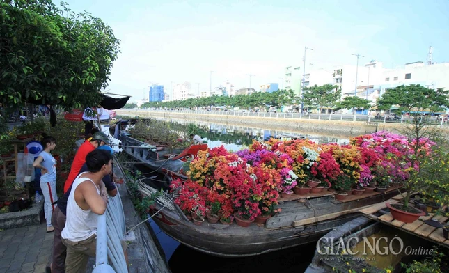 Chùm ảnh: Chợ hoa “Trên bến dưới thuyền” ảnh 19 IMG_4726.jpg