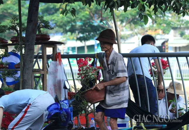 Chùm ảnh: Chợ hoa “Trên bến dưới thuyền” ảnh 20 IMG_4728.jpg