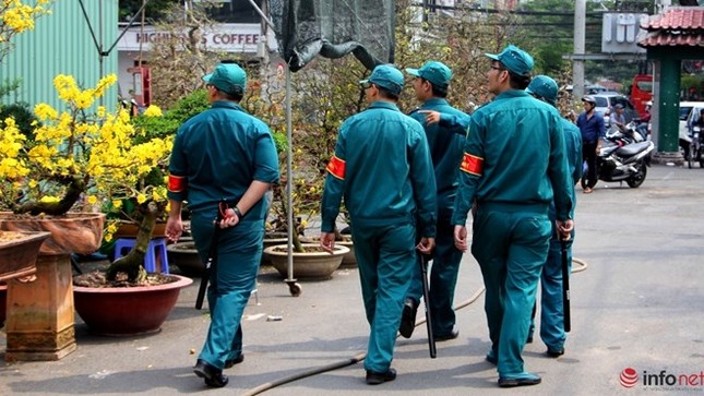 Cận cảnh những gốc mai cổ tuyệt đẹp tại chợ hoa TP.HCM ảnh 24