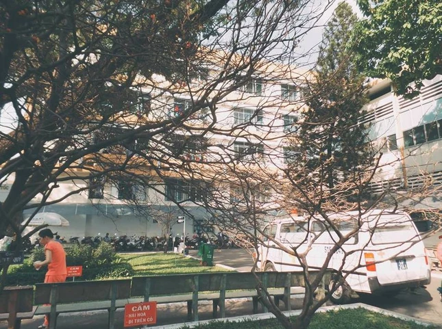 a tet noi benh vien.jpg