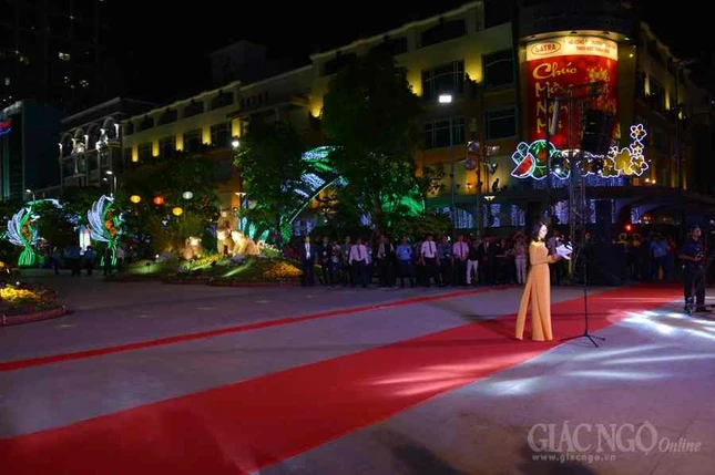 Duong hoa Nguyen Hue (1).JPG