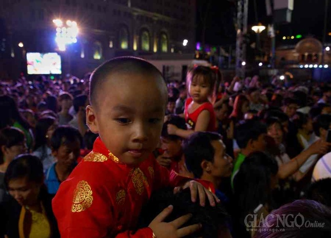 Duong hoa Nguyen Hue (10).JPG