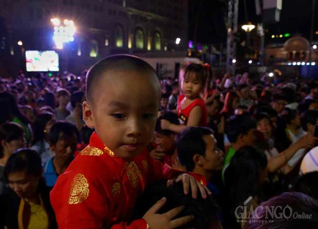 Duong hoa Nguyen Hue (10).JPG