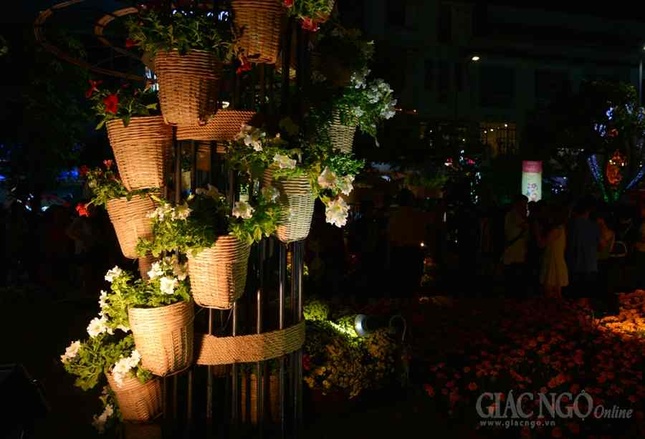 Duong hoa Nguyen Hue (12).JPG