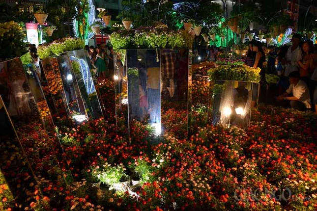 Duong hoa Nguyen Hue (13).JPG