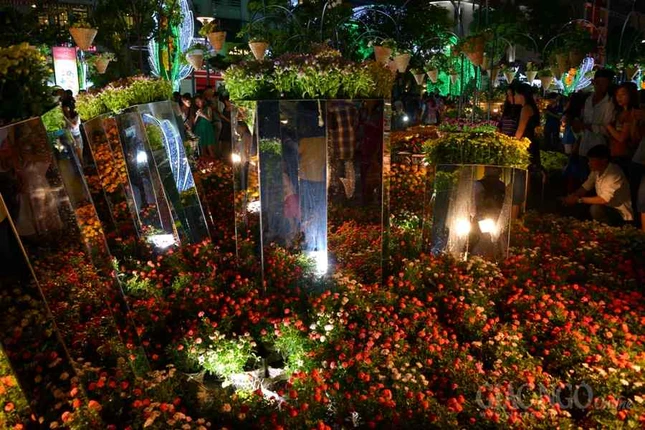 Duong hoa Nguyen Hue (13).JPG