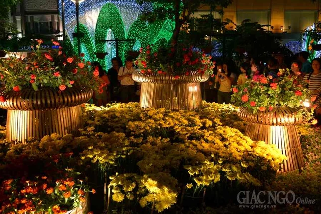 Duong hoa Nguyen Hue (14).JPG