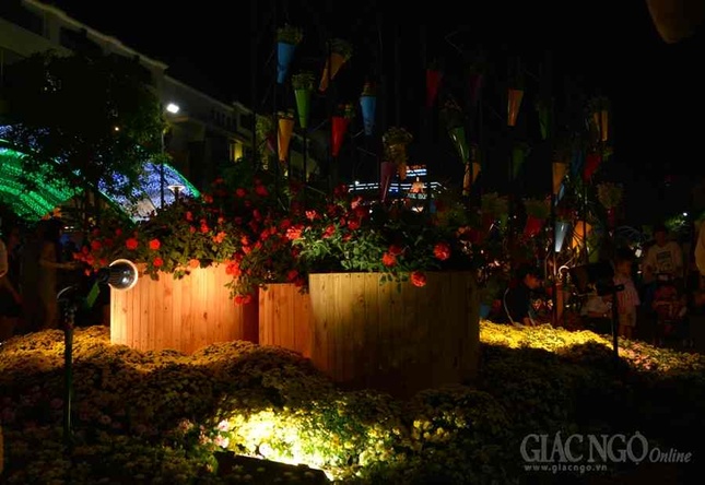 Duong hoa Nguyen Hue (15).JPG