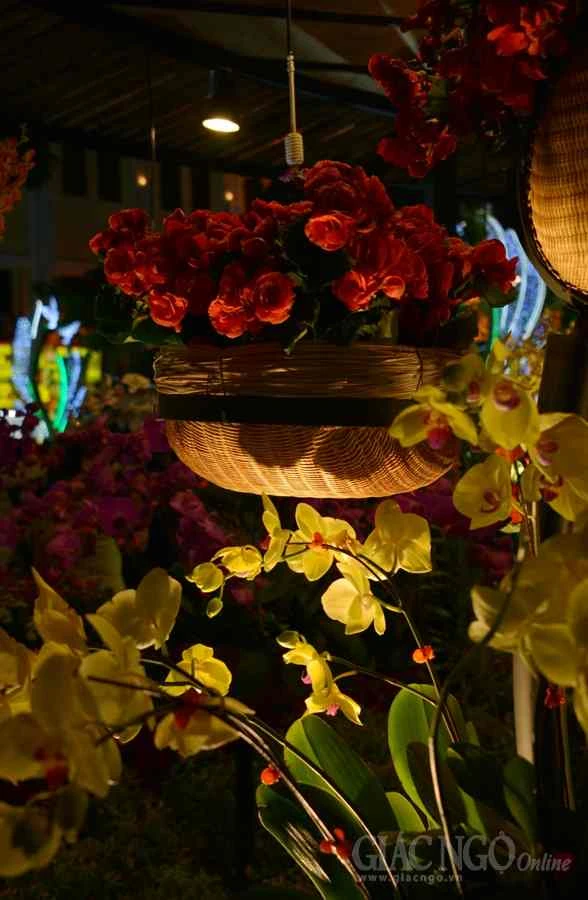 Duong hoa Nguyen Hue (16).JPG