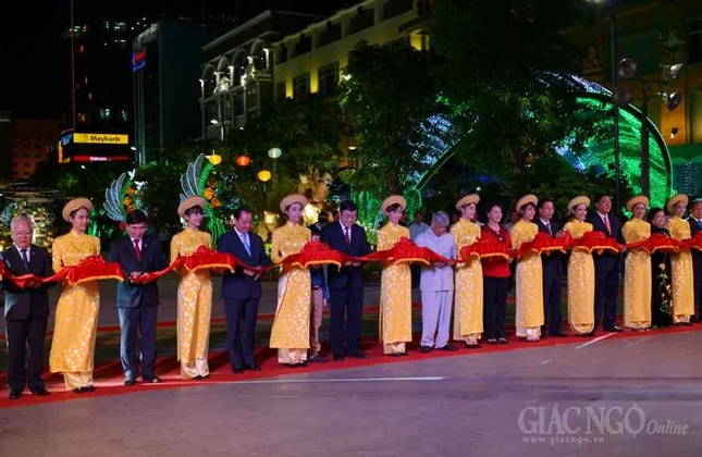 Duong hoa Nguyen Hue (2).JPG