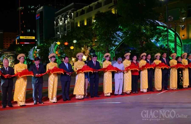 Duong hoa Nguyen Hue (2).JPG