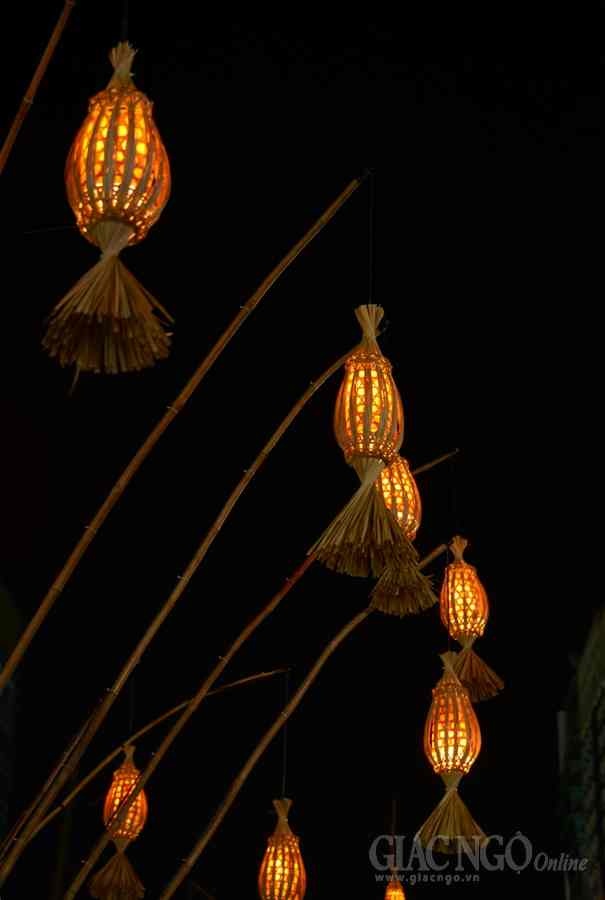 Duong hoa Nguyen Hue (22).JPG