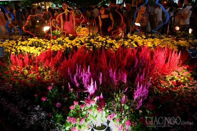 Duong hoa Nguyen Hue (23).JPG