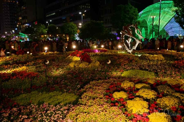 Duong hoa Nguyen Hue (26).JPG