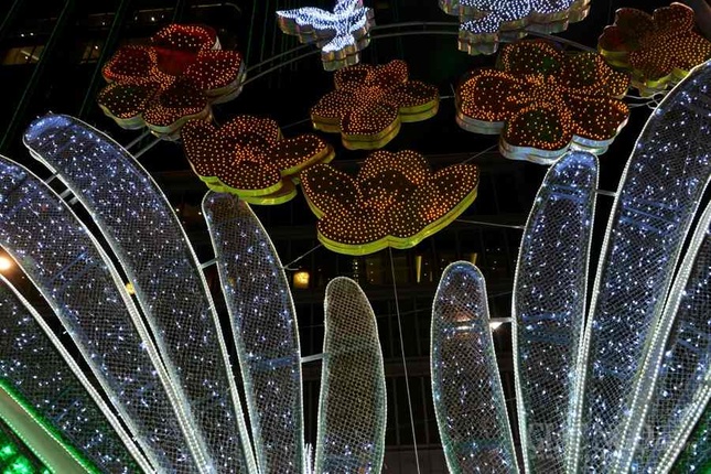 Duong hoa Nguyen Hue (27).JPG