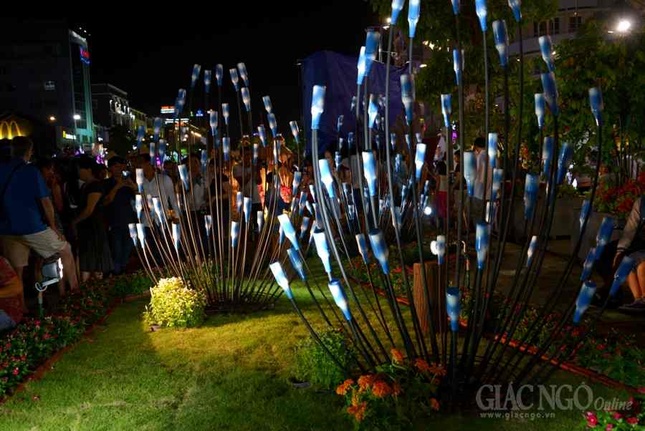 Duong hoa Nguyen Hue (28).JPG