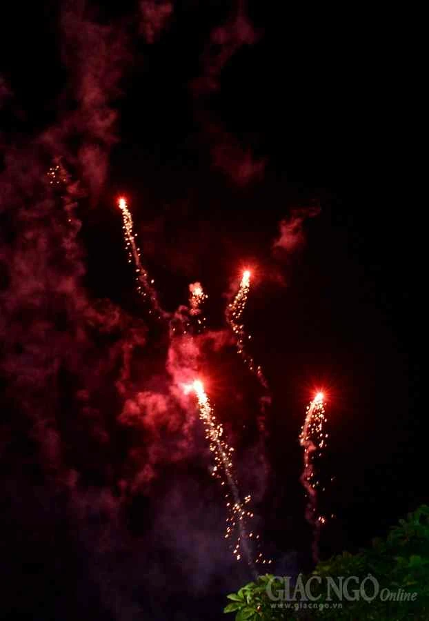 Duong hoa Nguyen Hue (2a).JPG