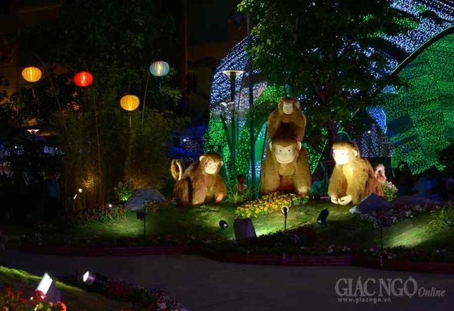 Duong hoa Nguyen Hue (3).JPG