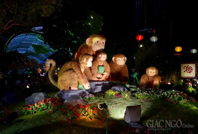 Duong hoa Nguyen Hue (4).JPG