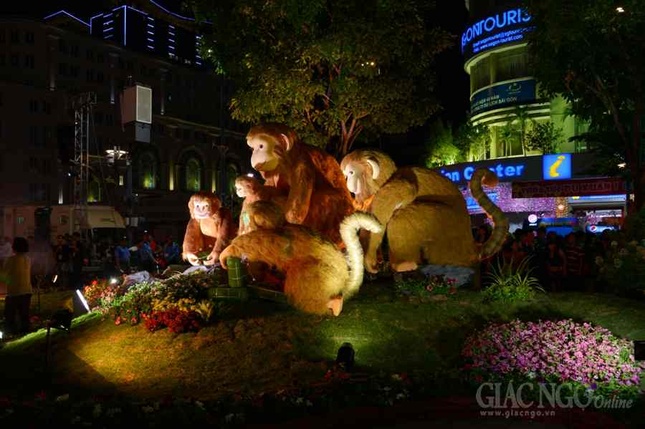 Duong hoa Nguyen Hue (5).JPG