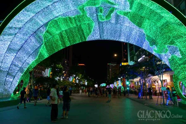 Duong hoa Nguyen Hue (6).JPG