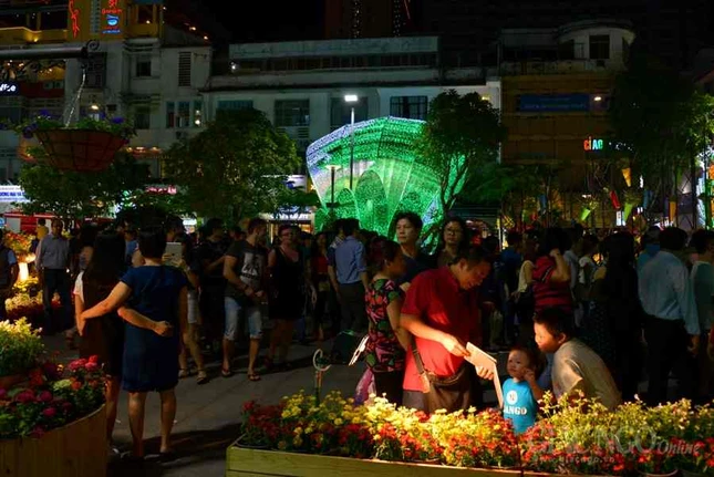 Duong hoa Nguyen Hue (7).JPG