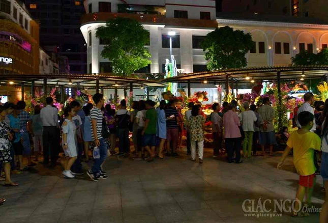 Duong hoa Nguyen Hue (8).JPG