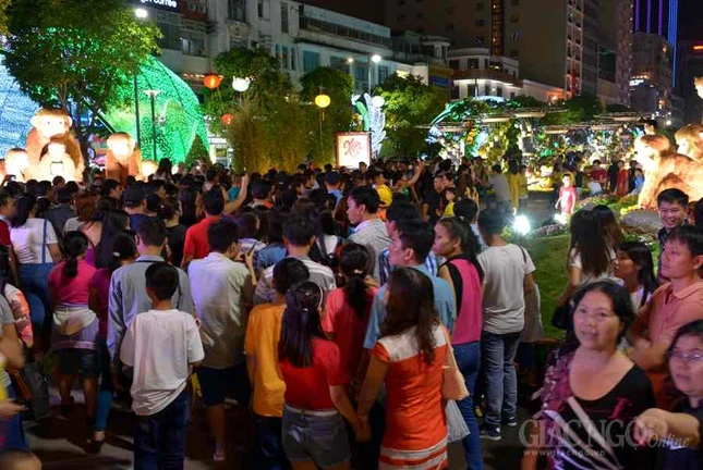 Duong hoa Nguyen Hue (9).JPG