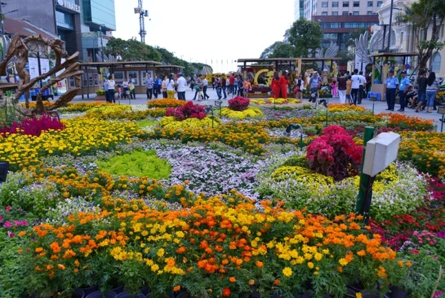 ĐHoa Nguyen Hue - chieu 28 Tet (9).JPG