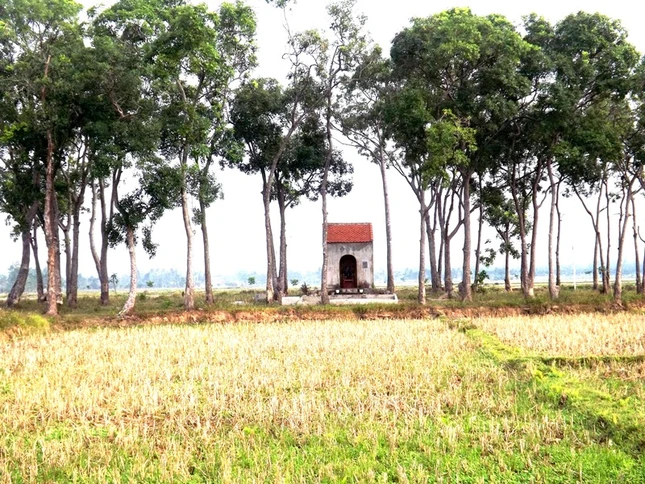 DSCF1853.JPG