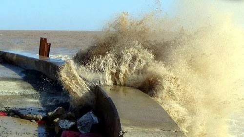 Từ Leo DiCaprio nghĩ về miền Tây 