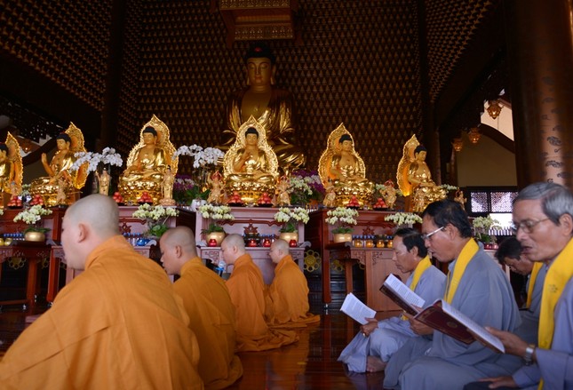 Tan Dan PHDS  (13).JPG