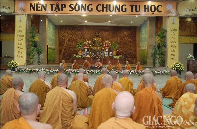 âvg (12).JPG