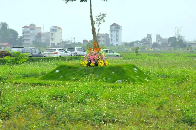 a ht Thanh bich 3.jpg