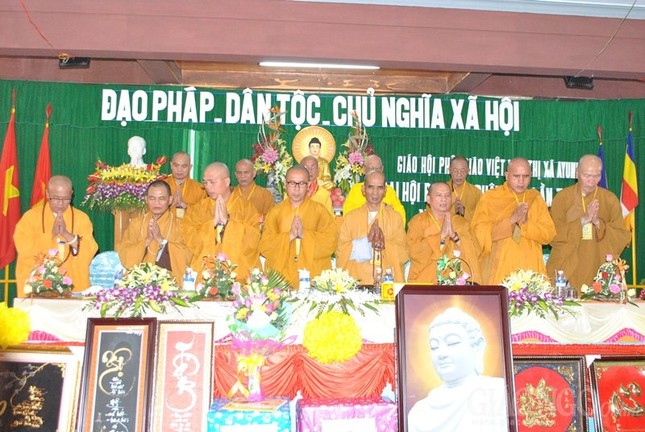 H1.jpg