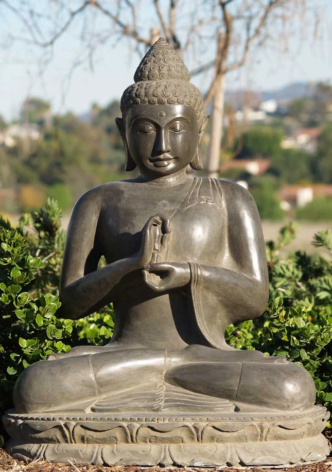 dharma-buddha-z.jpg