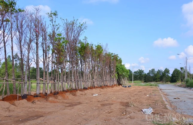 Khao sat va Hop tai HVPG LMX- ngay 23-4 (4a).JPG