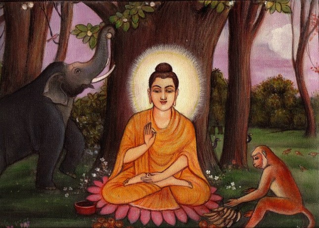 Không làm tổn hại mọi loài ảnh 1 lientri3.jpg