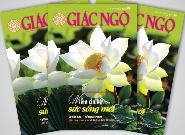 Giác Ngộ số 843: Giãi bày về di tích cổ tự xuống cấp ảnh 2 Bia online.jpg
