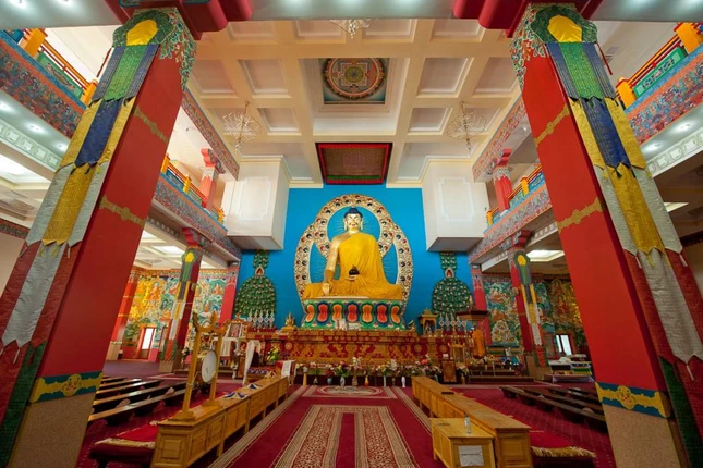 hoisinh.JPG