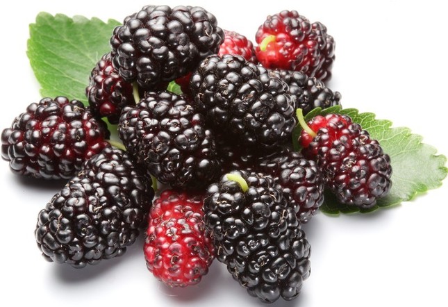 Cách làm nước dâu tằm giải nhiệt ngày nóng ảnh 1 dau_tam_.jpg