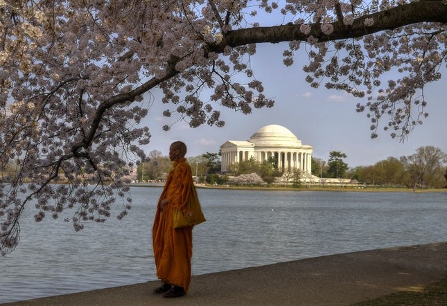 Giàu có & hạnh phúc ảnh 2 HP.jpg