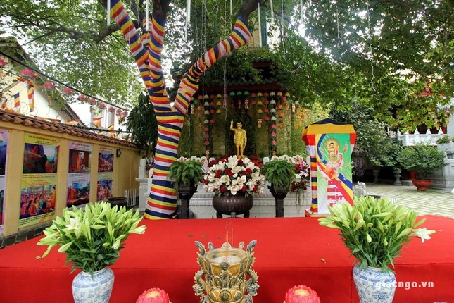 KHONG KHI pd (23).JPG