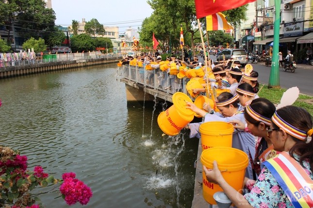 Chùa Viên Giác thả cá phóng sanh mừng Phật đản ảnh 5 15ps.jpg