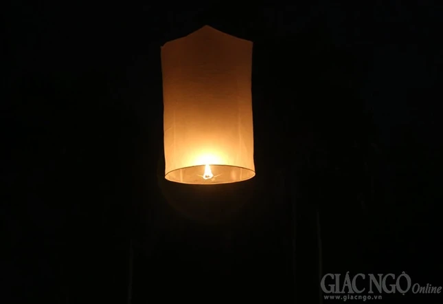 H11.JPG