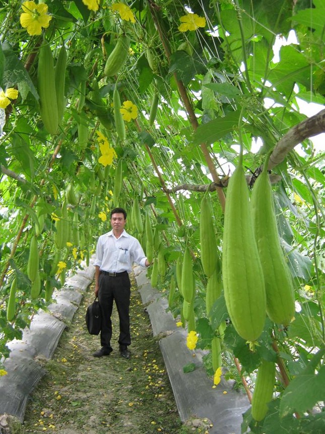 chuminhkhoi.jpg