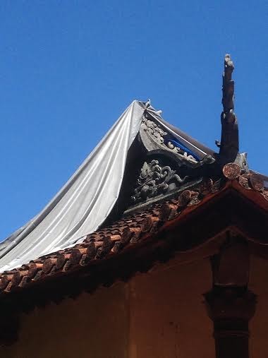 a thanhduyen 1.jpg